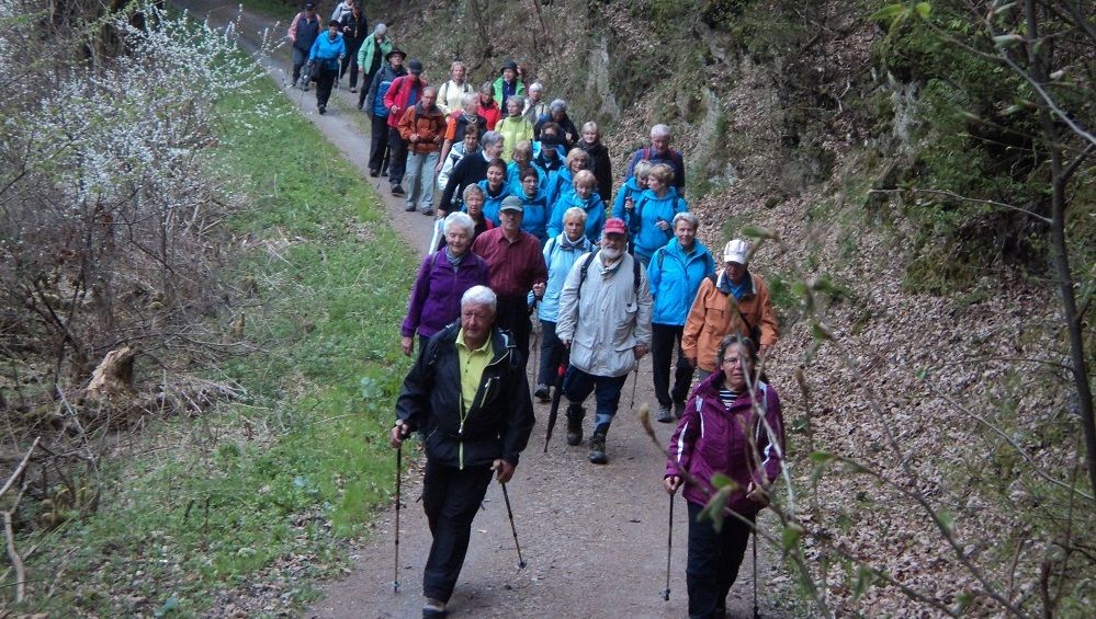 Wanderungen des Turngaus